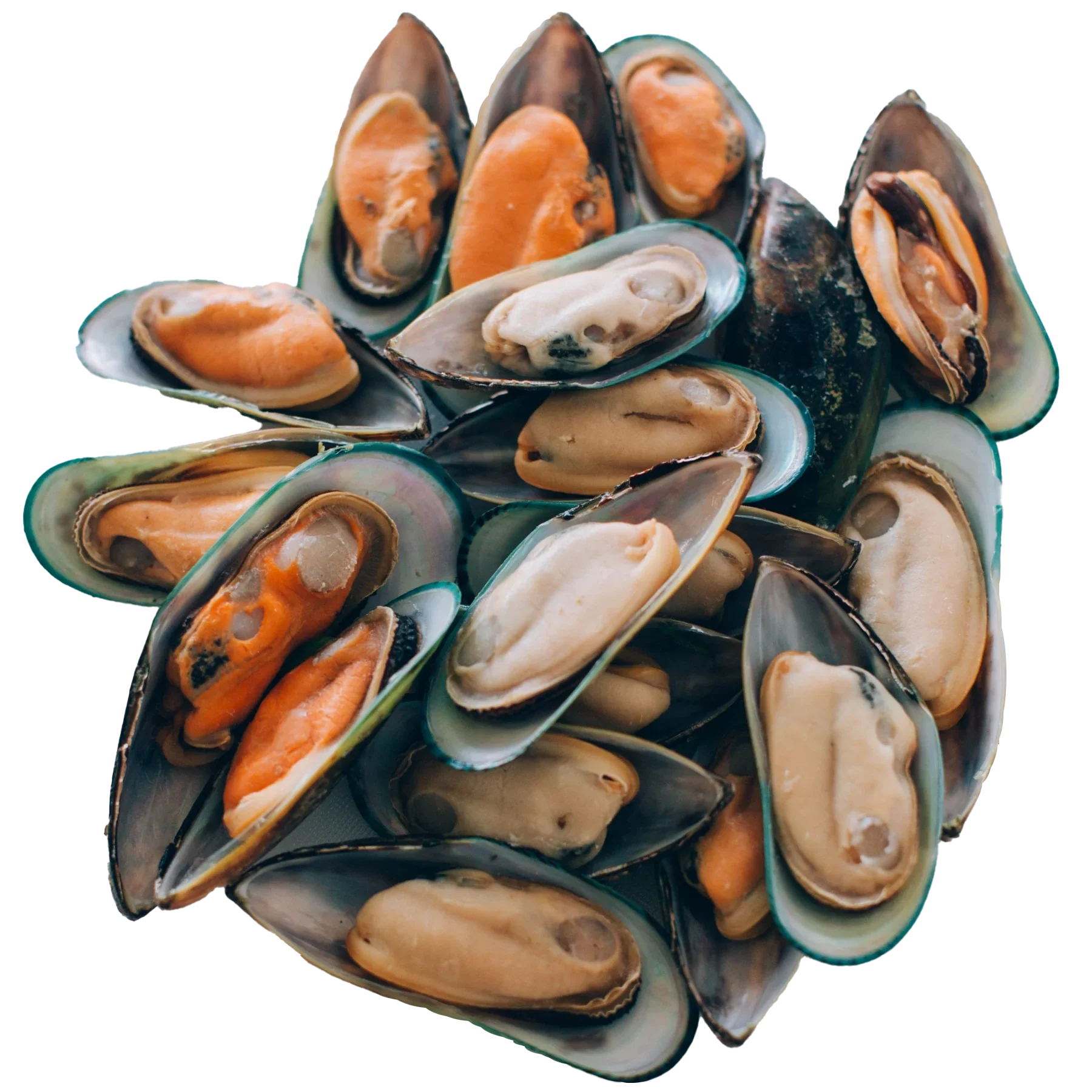 EXPORT FROZEN BLUE MUSSELS 1LB