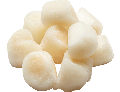 BAY IQF 40/60 SCALLOPS 1 LB